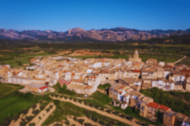 Desatascos Terra Alta